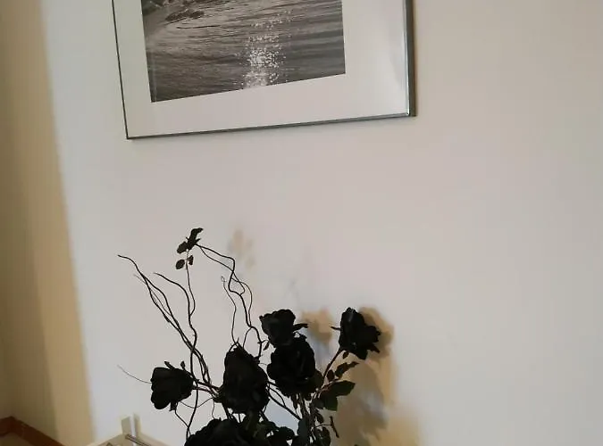 Delle Palme 3* Carpi