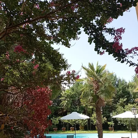Delle Palme Carpi
