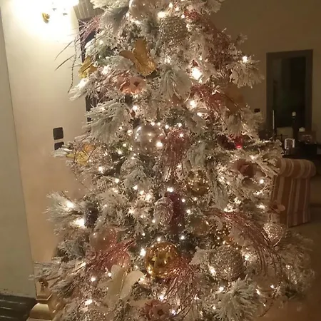 Delle Palme 3*