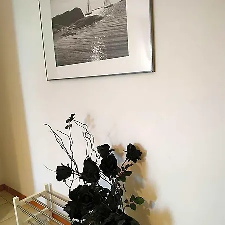 Bed & Breakfast Delle Palme 3*
