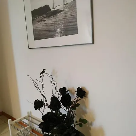 Delle Palme 3* Carpi